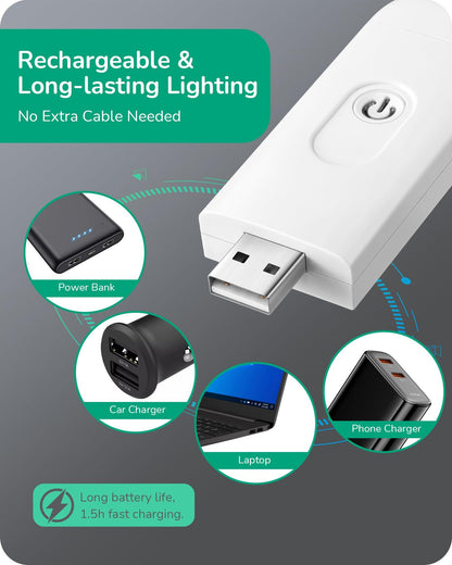 Cozy Reading Companion